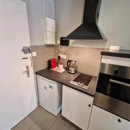 Appartement Lumineux Dans Ancien Cronenbourg *